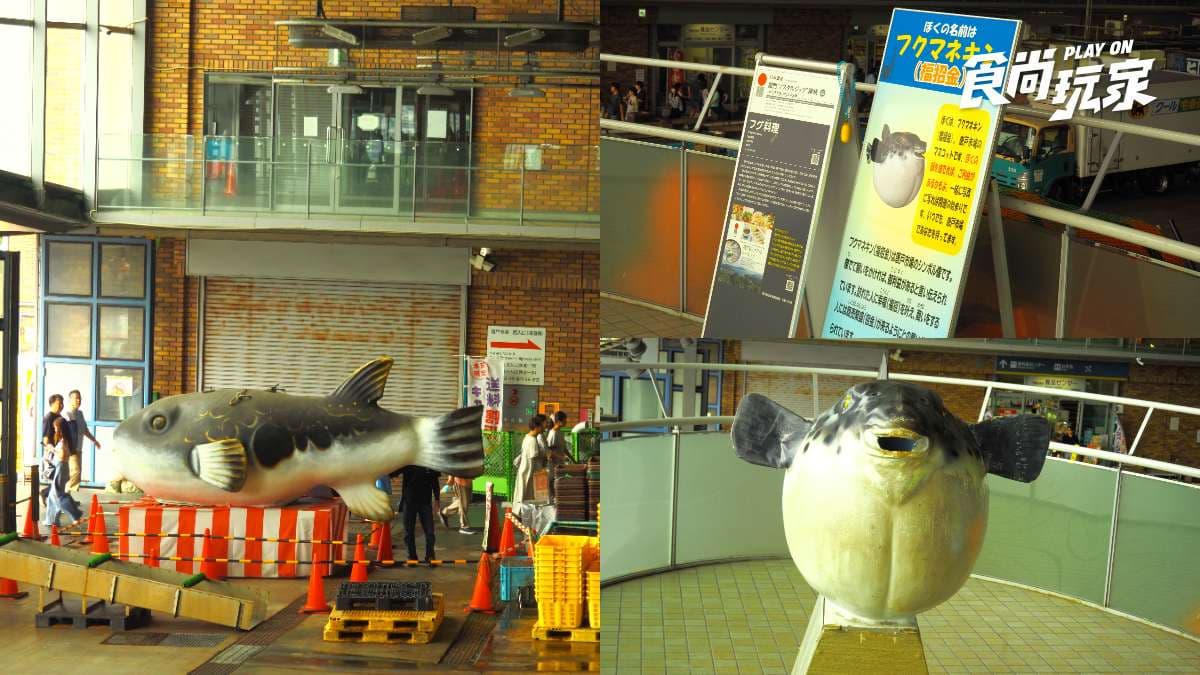 日本河豚之鄉!唐戶市場必吃河豚、鯨魚生魚片、炸燈籠魚,赤間神宮爆紅招財貓籤詩 日本河豚之鄉!唐戶市場必吃河豚、鯨魚生魚片、炸燈籠魚,赤間神宮爆紅招財貓籤詩
