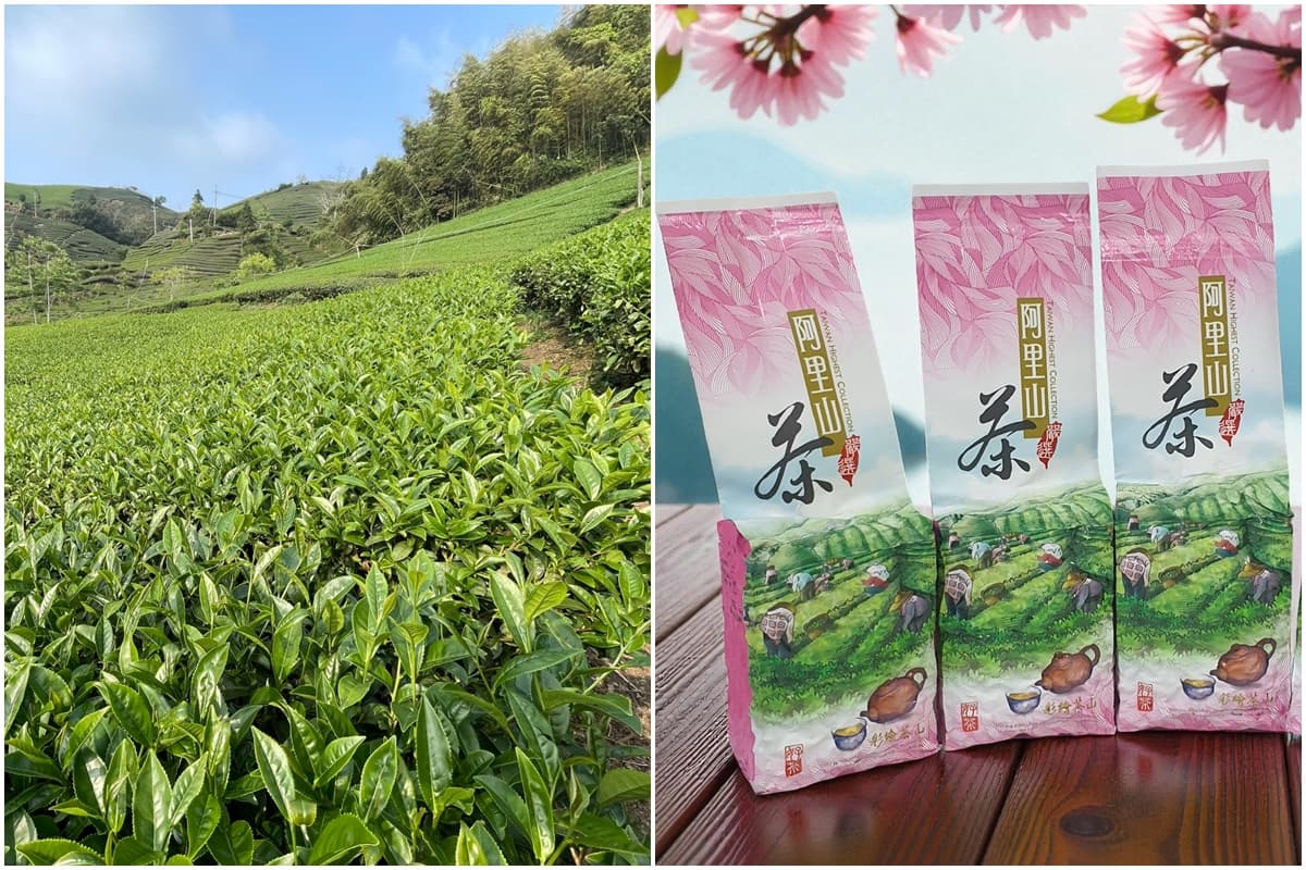 手搖買一送一、炸雞第2份半價!中秋必收連鎖名店優惠22家,再抽必勝客披薩券 手搖買一送一、炸雞第2份半價!中秋必收連鎖名店優惠22家,再抽必勝客披薩券