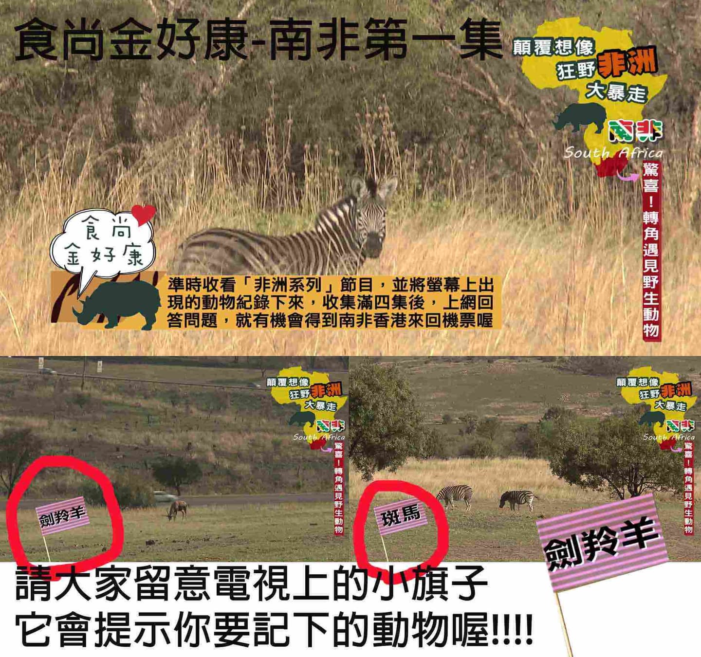 <食尚金好康送機票南非1>-【顛覆想像 狂野非洲大暴走 南非I】