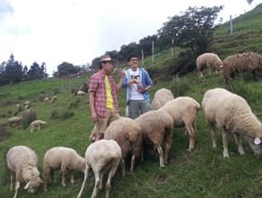 吃爽住爽!玩翻人間仙境!