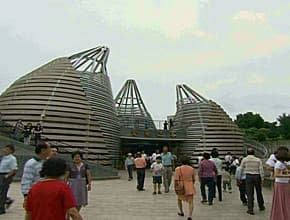 哪裡涼快哪裡去 溪頭