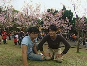 陽明山賞花 北投士林吃好料