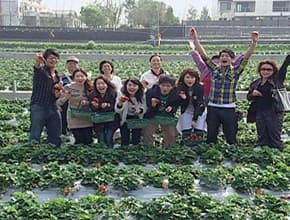 草莓創意大賞 顛覆大湖新玩法