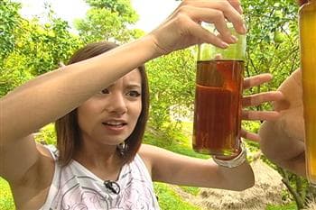 三芝樂活秘密基地