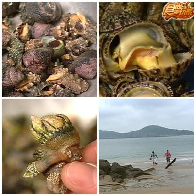 美食最前線-馬祖 美食最前線-馬祖