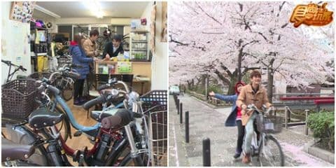 日本櫻花大戰-逐櫻の花跡 第二瓣!! 日本櫻花大戰-逐櫻の花跡 第二瓣!!