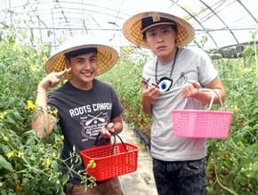 有玩沒玩!苗栗小城沒計劃輕鬆玩