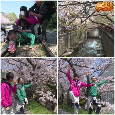日本櫻花大戰-櫻魂不滅 完結篇!! 日本櫻花大戰-櫻魂不滅 完結篇!!