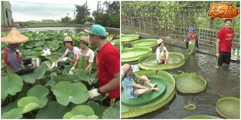 桃園五星級 省錢微旅行 桃園五星級 省錢微旅行