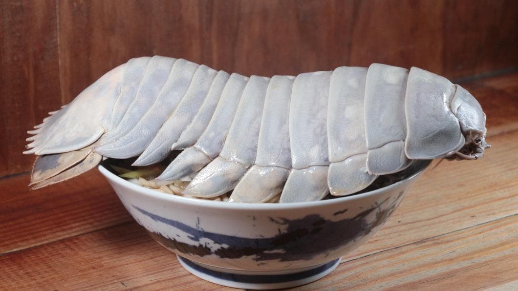 整隻「大王具足蟲」端上桌!超狂拉麵1碗1480元,網友驚:吃巨無霸海蟑螂? 拉麵公子推出「大王具足蟲」濃厚魚介雞白湯拉麵。(圖/翻攝自拉麵公子臉書) 超震撼!名店推出「大王具足蟲」拉麵 一碗破價千元