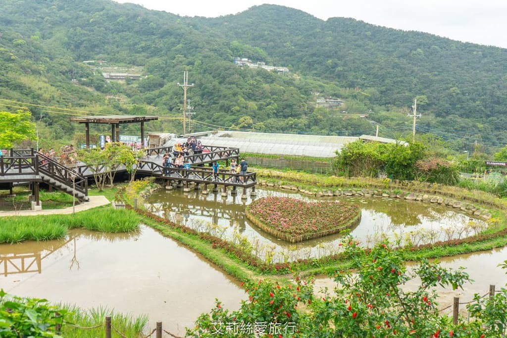 2023台北登山步道推薦!內湖6條超好走「森林步道」:金面山剪刀石、碧山露營場|食尚玩家