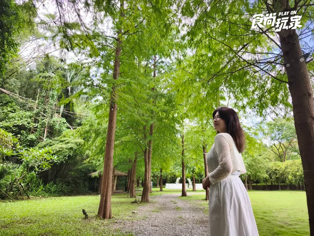 絕美白色教堂、7000坪落羽松園區！台北最美祕境餐廳，８大打卡點一次看