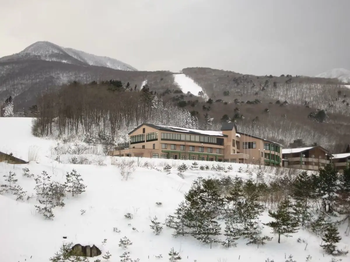 挑戰史上最便宜！星野集團「全新滑雪飯店」將開幕，每人每晚最低514元爽住