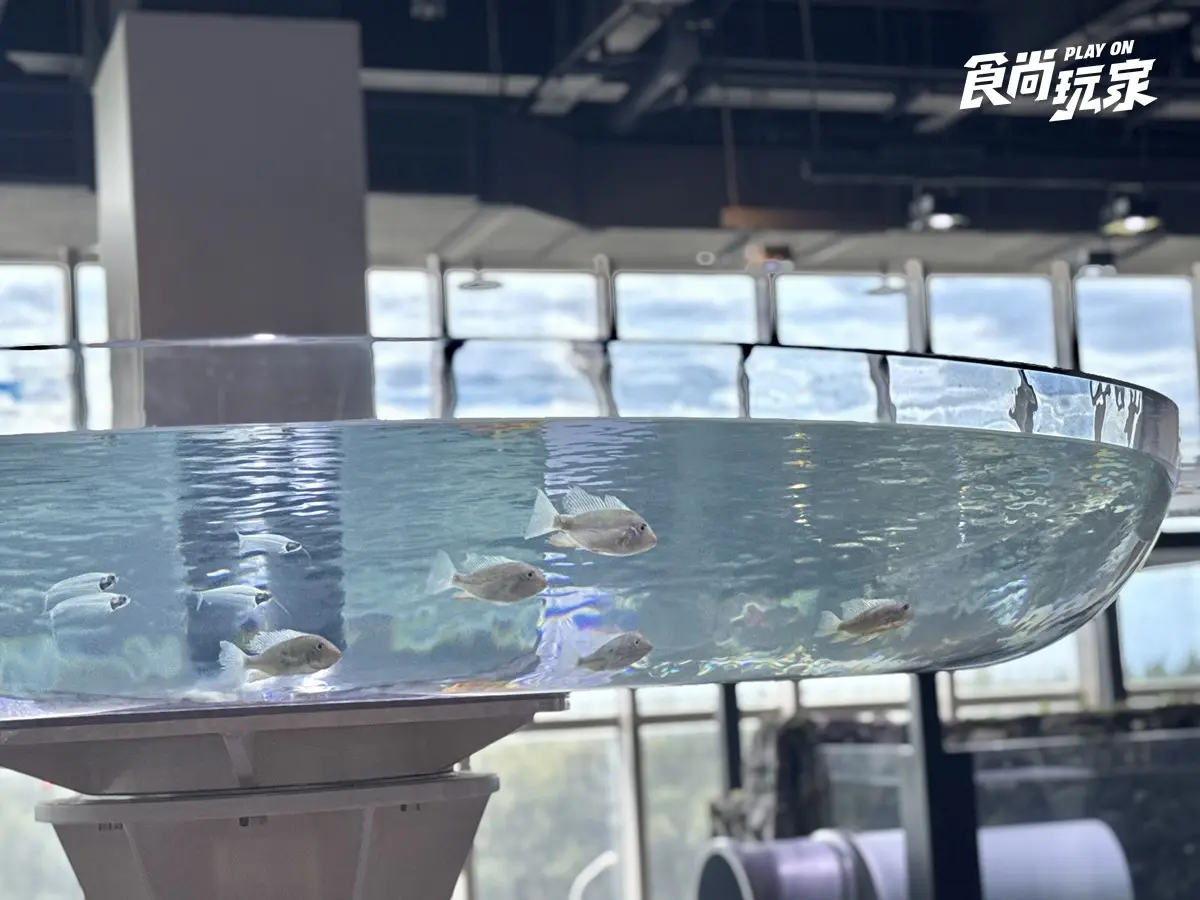 秀證件免費參觀！「台中海洋館」開幕週年10月天天享優惠，美拍７大主題展區