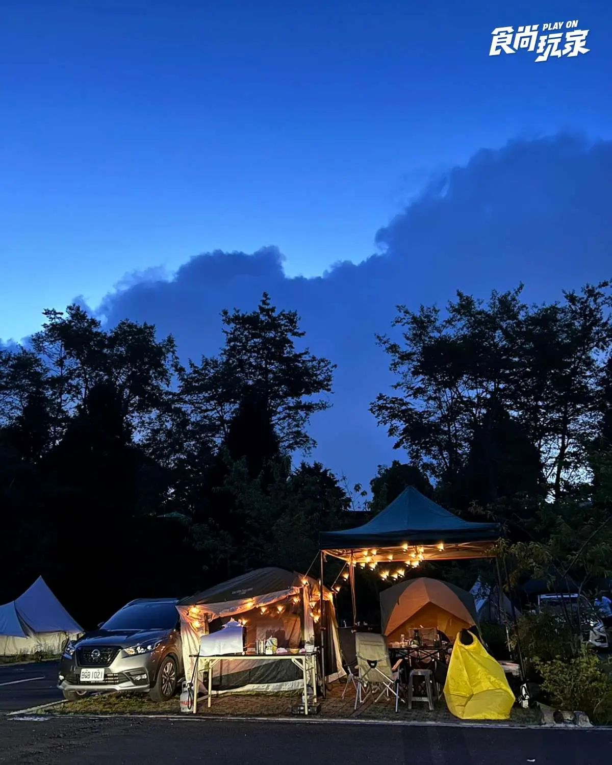 雙十連假清境這樣玩！「半日牧羊人」近距離餵羊，暗空公園、露營看銀河星空