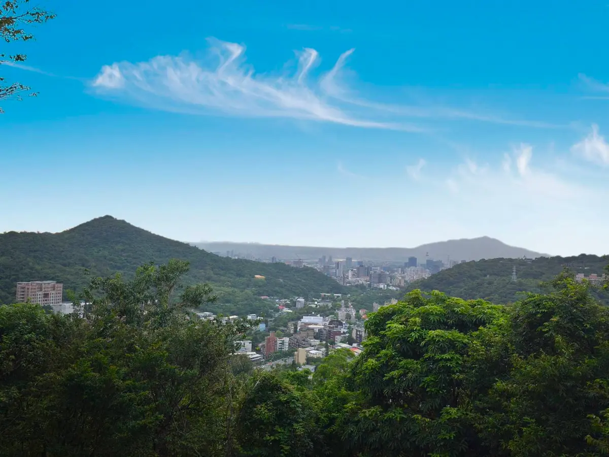 賞落羽松、吐司油畫DIY！台北最美景觀餐廳推10條遊程，再享創意辦桌、可汗火鍋