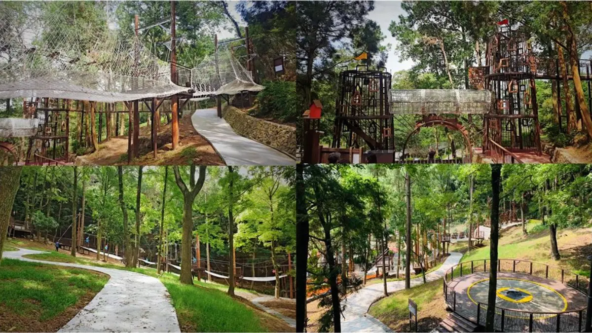 10月免費入園！秀國旗暢玩「225公頃巨型森林樂園」，逛森林花園、滑索、泡足湯