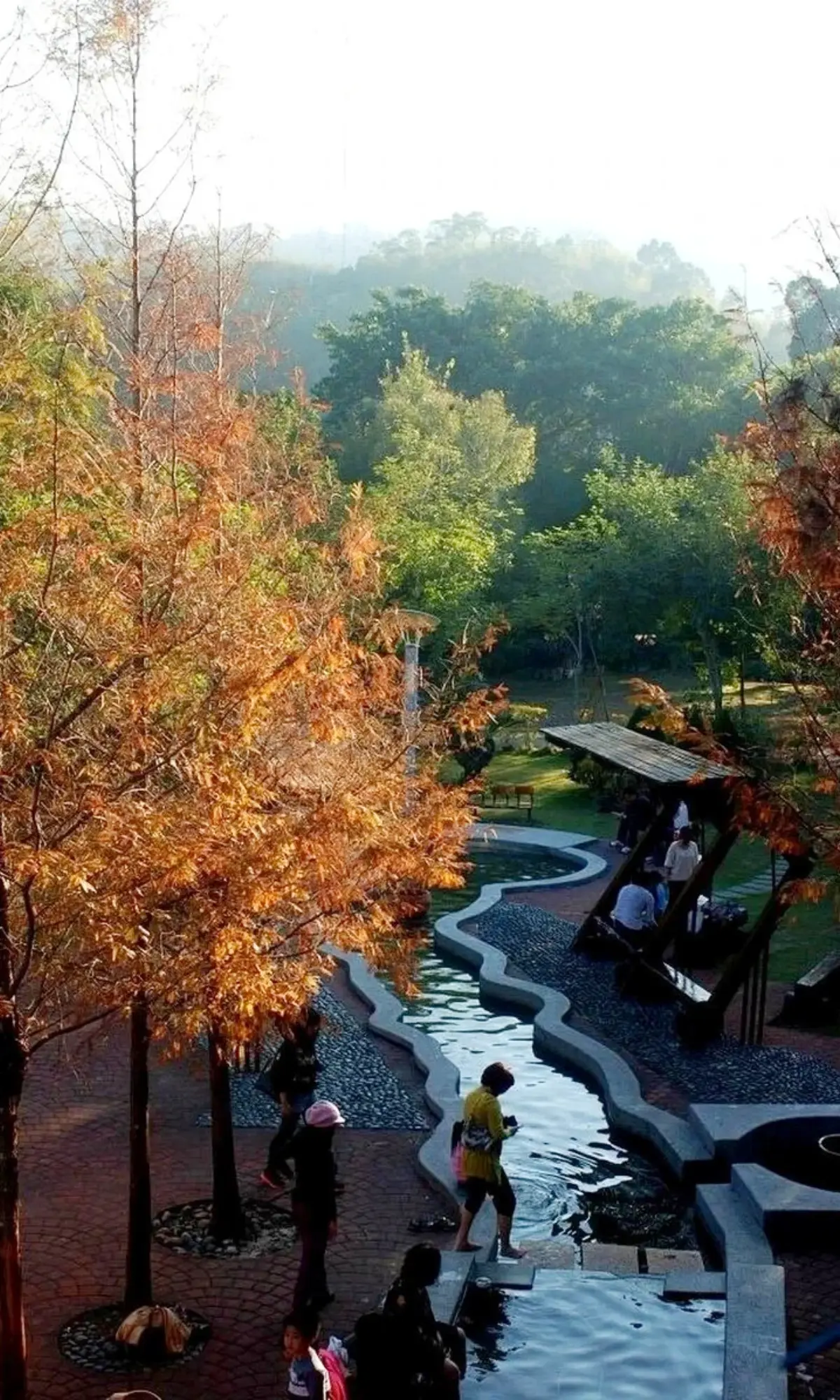 10月免費入園！秀國旗暢玩「225公頃巨型森林樂園」，逛森林花園、滑索、泡足湯