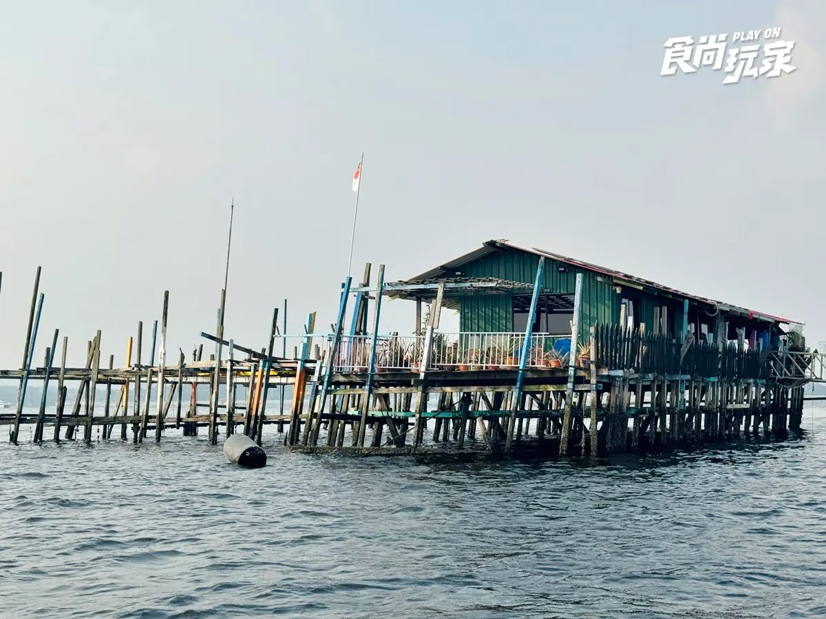 別只衝魚尾獅!2026新加坡18大必玩攻略:寶可夢限定、36公尺鯊魚隧道、彩虹街屋 別只衝魚尾獅!2026新加坡18大必玩攻略:寶可夢限定、36公尺鯊魚隧道、彩虹街屋