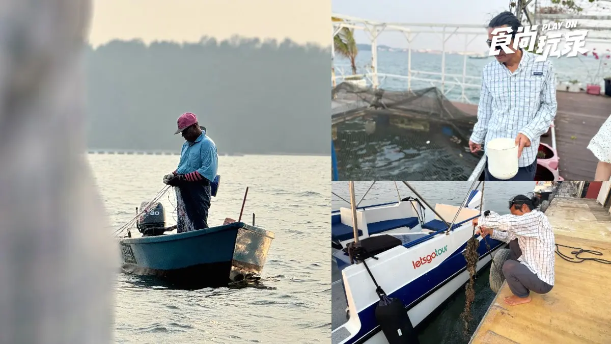 別只衝魚尾獅！2026新加坡18大必玩攻略：寶可夢限定、36公尺鯊魚隧道、彩虹街屋