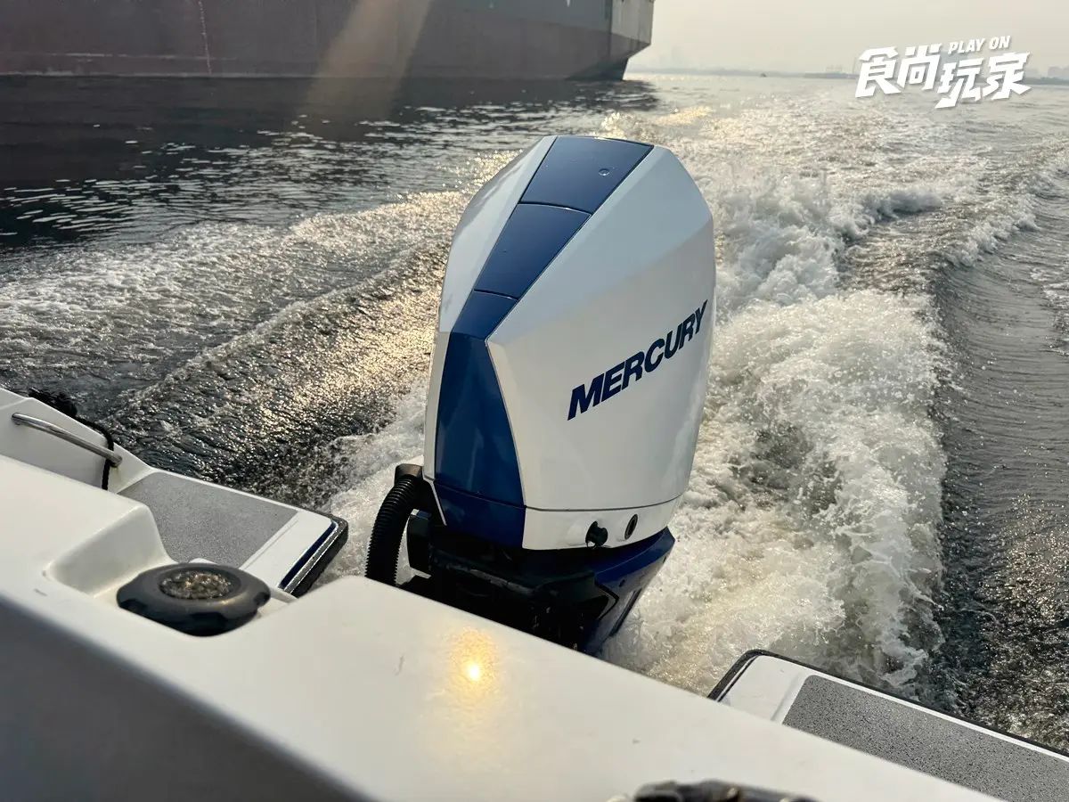別只衝魚尾獅！2026新加坡18大必玩攻略：寶可夢限定、36公尺鯊魚隧道、彩虹街屋