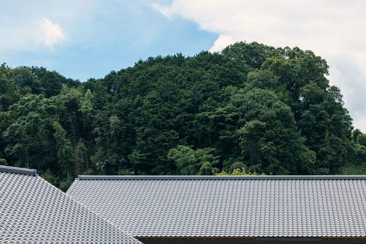 絕美綠意梯田環抱！「虹夕諾雅 飛鳥」2027開幕，住進千年世界文化遺產之地