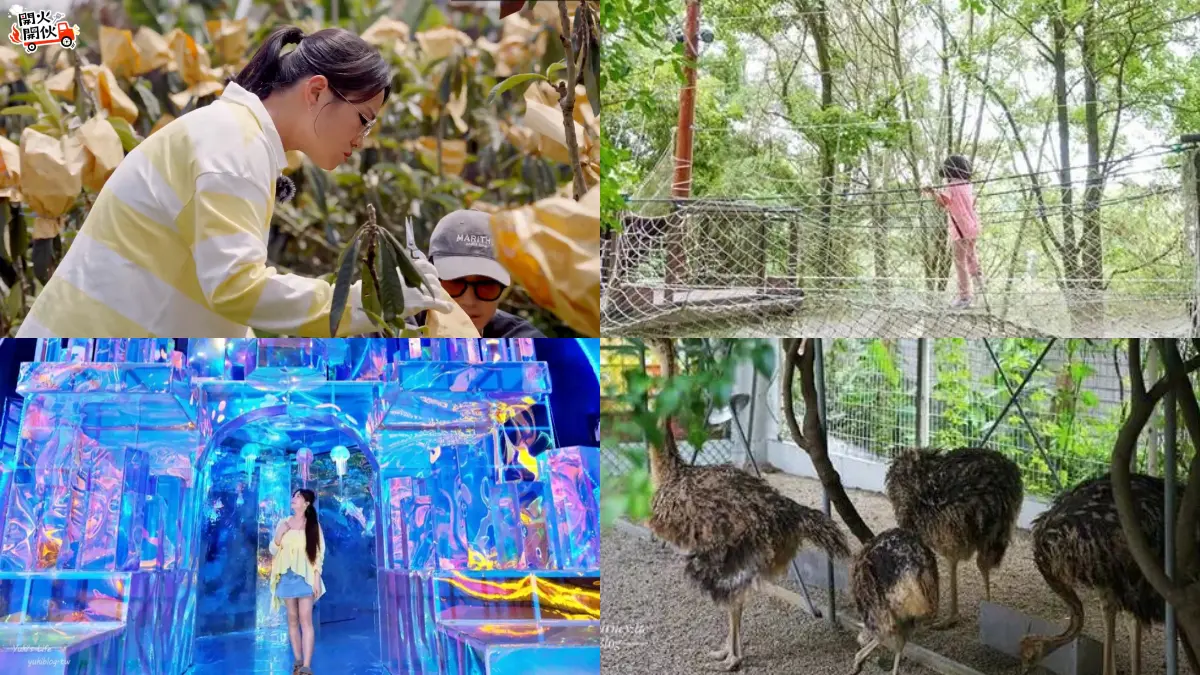 《開火開伙》鄭智善首訪枇杷園！2026台中親子景點TOP18：３千坪室內樂園