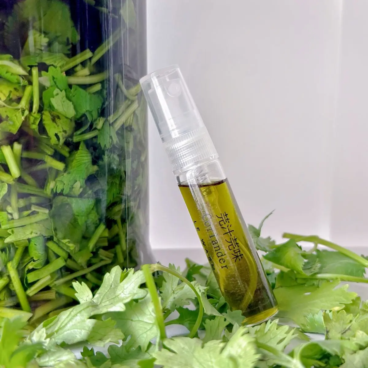 最好玩「香菜萬聖節市集」彰化登場！百家美食攤位集合，互動免費送新鮮香菜