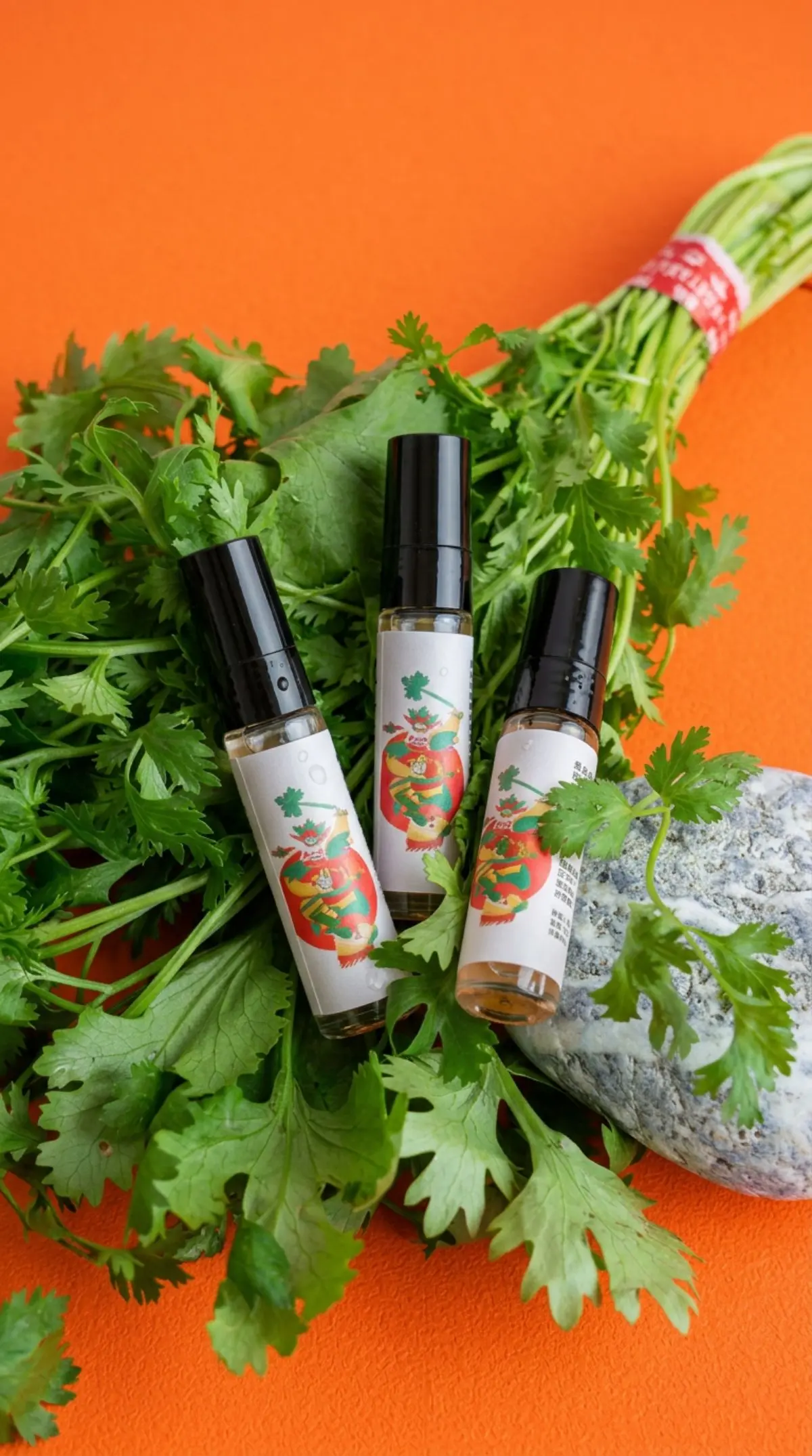 最好玩「香菜萬聖節市集」彰化登場！百家美食攤位集合，互動免費送新鮮香菜