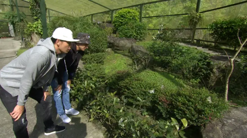 花蓮 一不小心就錯過 再低調也要把你挖出來