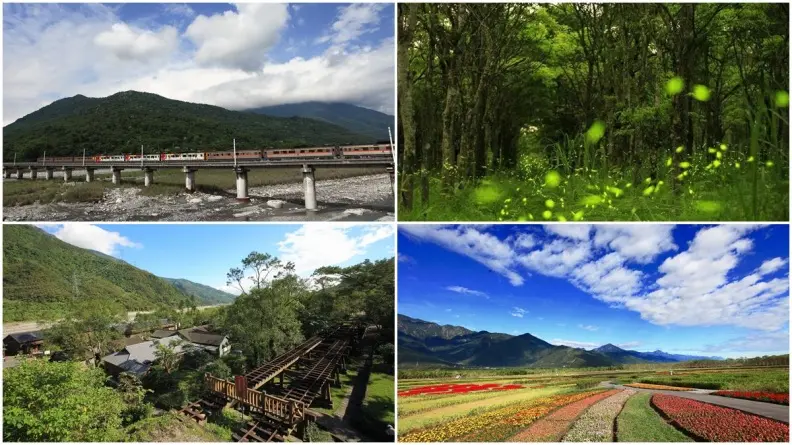 【春假怎麼玩】搭火車玩花東縱谷7站→第7站傳說中「龍貓隧道」一定要玩