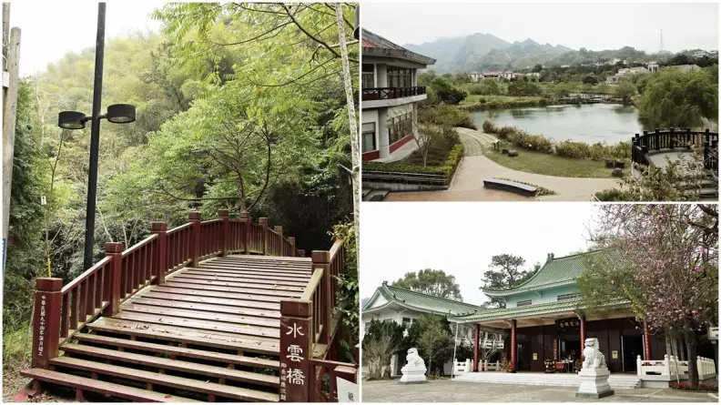 大窩山賞桐追螢2日遊！看魚藤纏巨木百年奇景、走神祕古圳道試膽、嘗「老街三寶」