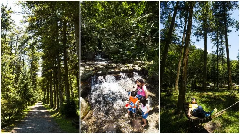 超涼感小旅行！走「全台最大原始森林」涉水步道，相思樹下喝得獎咖啡