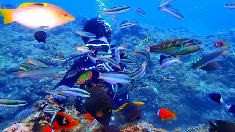 這秘境魚好多！台灣超美潛水勝地，親子共賞熱帶魚正夯