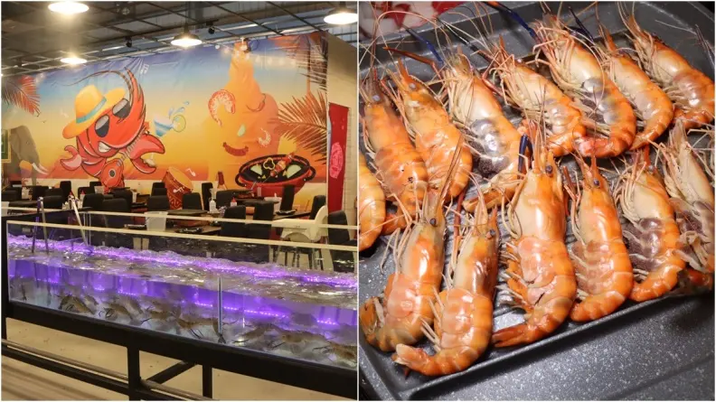 【新開店】林口也有了！雙北「最大水道流水蝦」　超大烤盤一次烤到爽