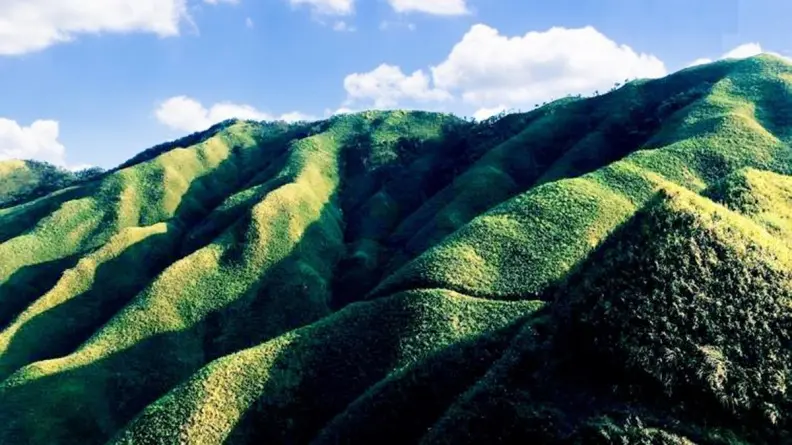 萌萌打卡點！宜蘭最美「抹茶冰淇淋山」曝光，登頂吃抹茶拿鐵、蛋糕