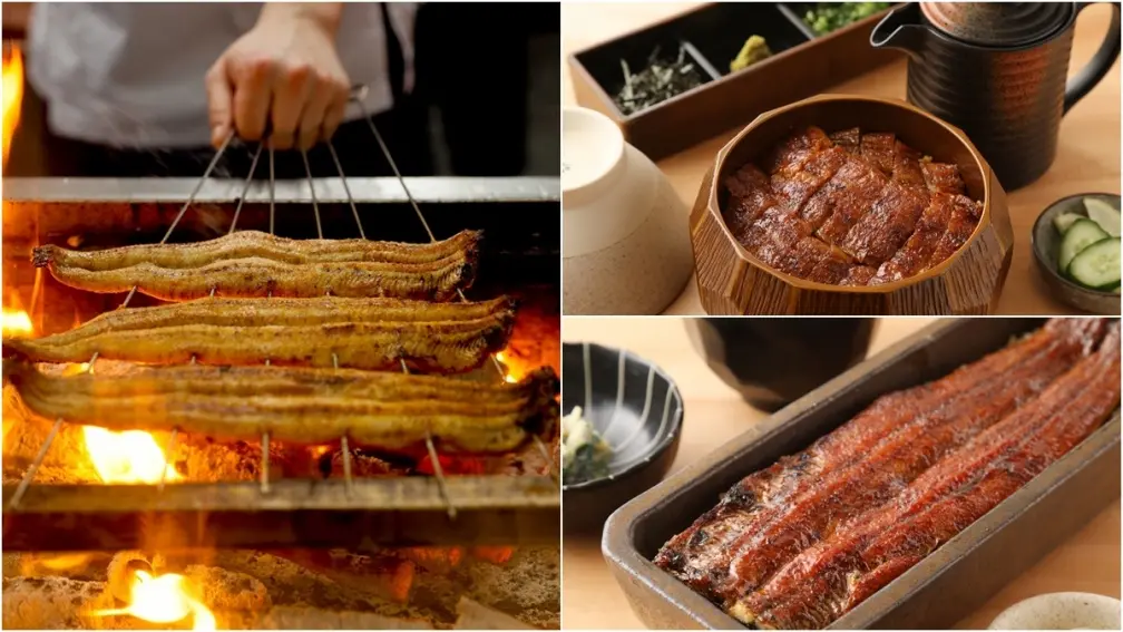 【新開店】日本名店登台！米其林推薦「四代目菊川」，必吃純正炭火頂級鰻魚飯