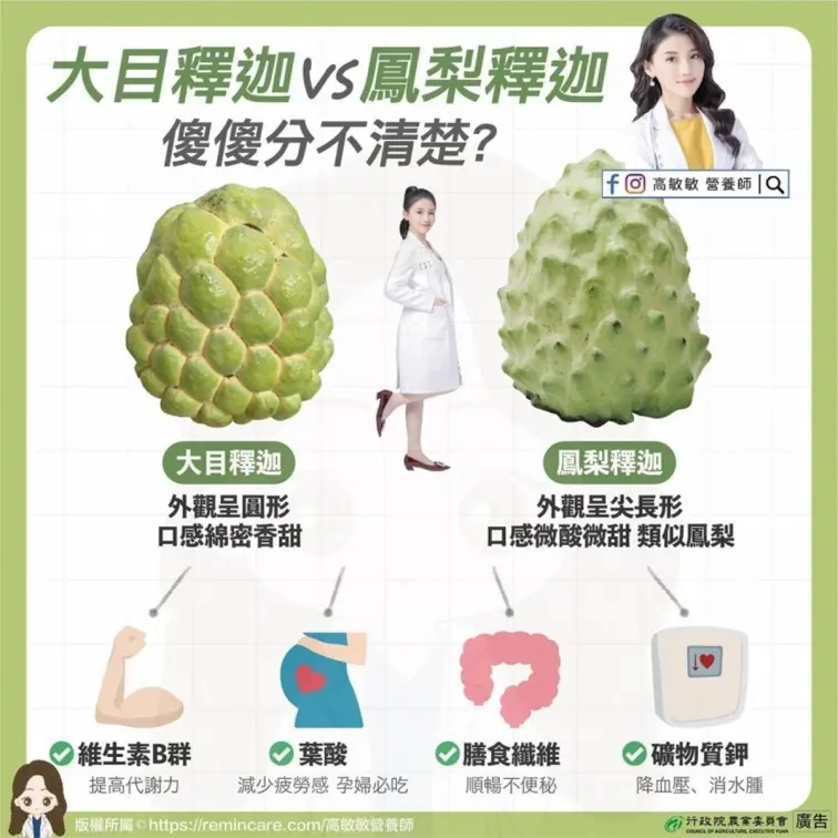 維他命C比檸檬高2.9倍!釋迦超營養4大功效,1圖秒懂大目、鳳梨釋迦2品種 維他命C比檸檬高2.9倍!釋迦超營養4大功效,1圖秒懂大目、鳳梨釋迦2品種