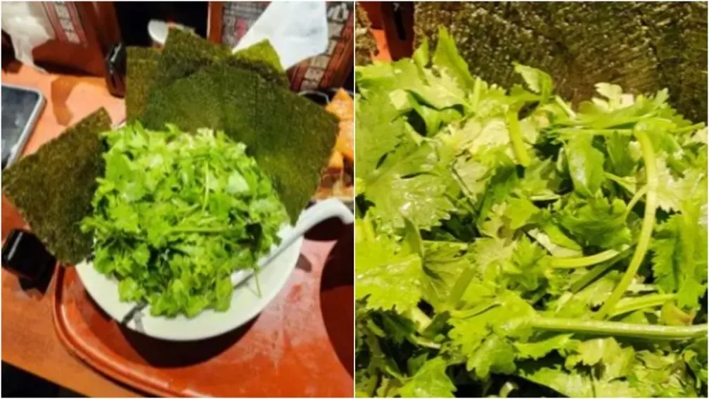 隔著螢幕都聞到味道了！超狂拉麵加滿香菜，網友嚇歪：是盆栽吧
