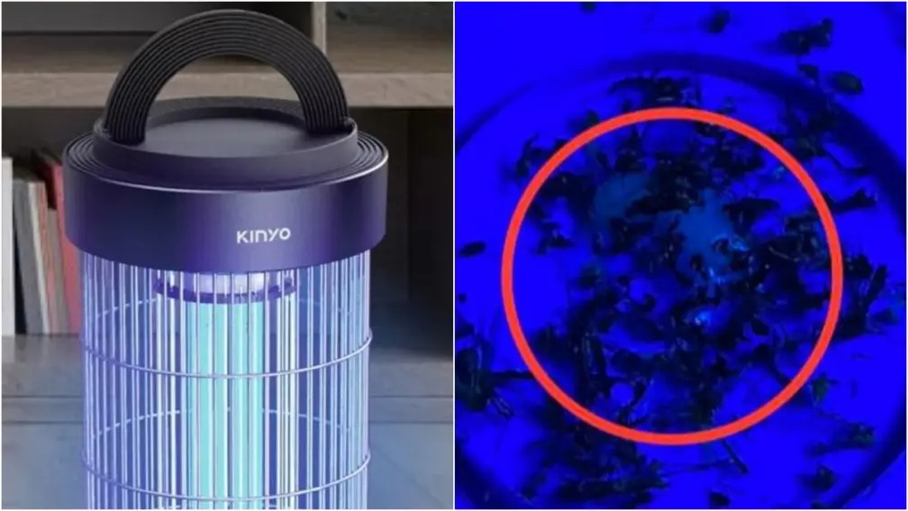 捕蚊神器！網友實測捕蚊燈加１物成效驚人，專家加碼曝最佳擺放位置