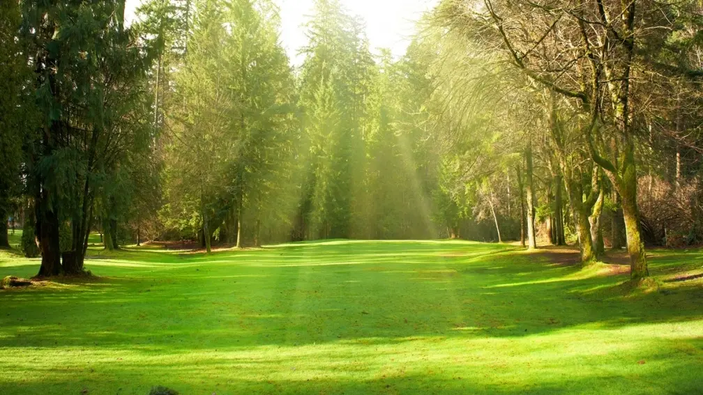 5/21「小滿」１禁忌觸犯恐損健康！吃１食物可開運，３生肖事業運旺到炸