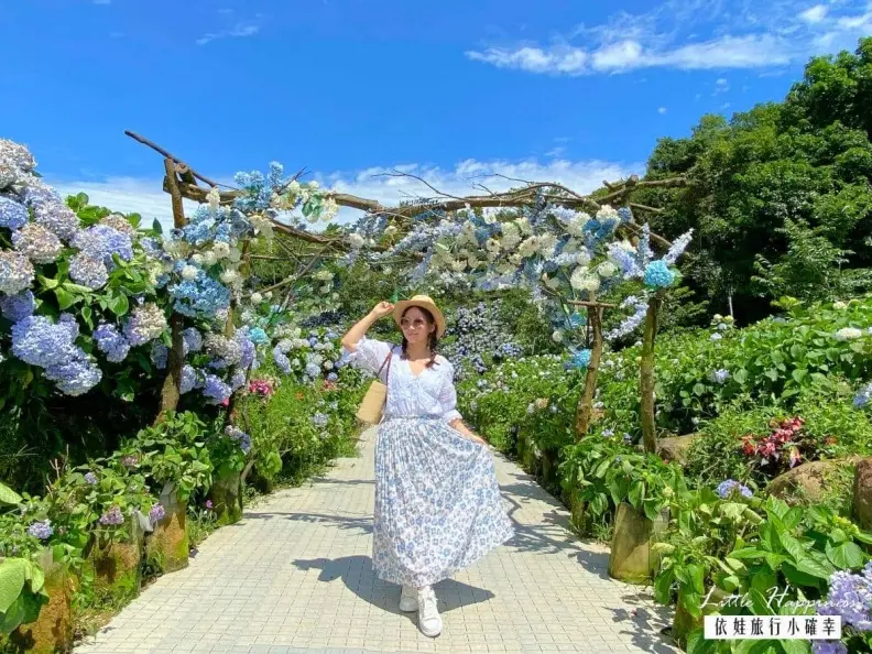 好拍到手痠!IG必追6大「繡球花夯點」:占地8000坪、萬株花海限時免費拍 好拍到手痠!IG必追6大「繡球花夯點」:占地8000坪、萬株花海限時免費拍