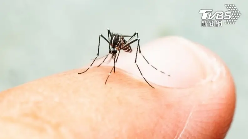 愛吃肉容易被蚊子叮？專家打臉「沒科學根據」，加碼２妙招防蚊