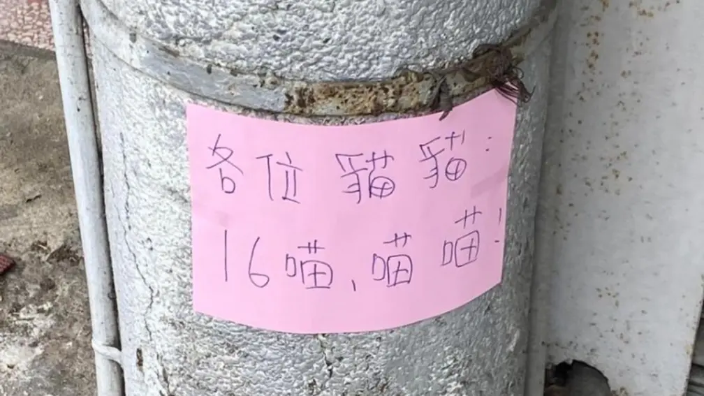 早餐店貼公告「16喵，喵喵」啥意思？正解曝光笑翻網友：老闆太有才了