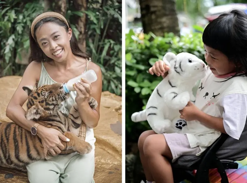 亞洲最大野生動物園！被稱為「動物界迪士尼」，必體驗「餵小老虎喝奶」萌爆