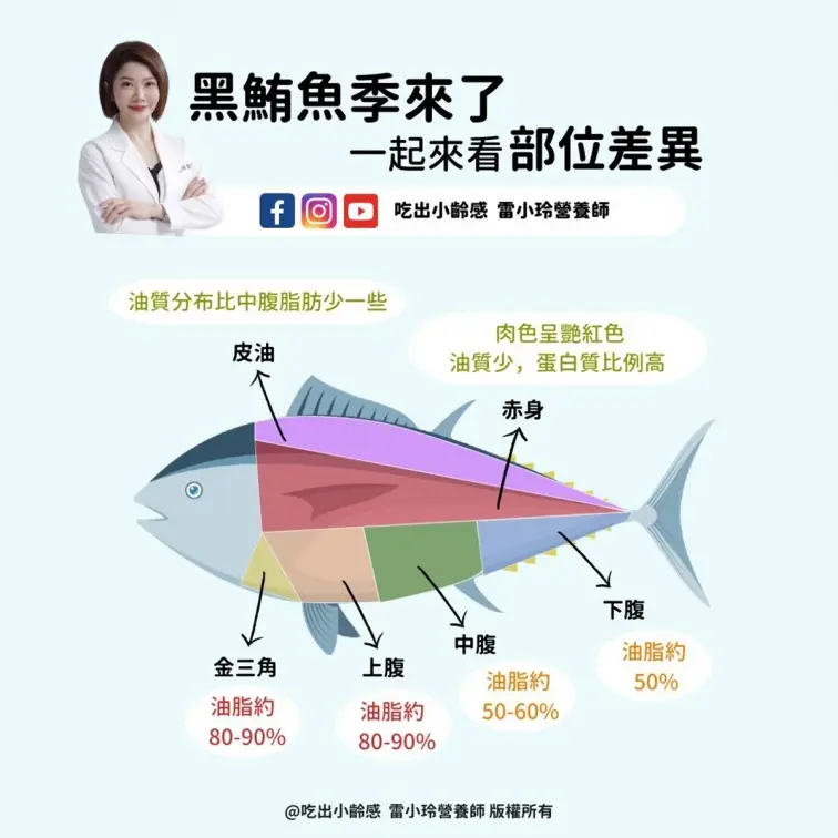 黑鮪魚季正肥美！１張圖看６部位口感、價格，專家點名３族要少吃