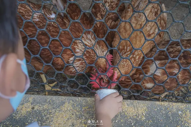 隱藏版親子樂園！台中「菇菇農場」體驗採香菇、現做茶碗蒸，250元１票玩到飽