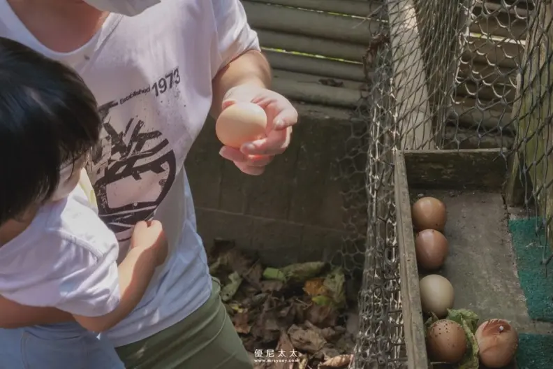 隱藏版親子樂園！台中「菇菇農場」體驗採香菇、現做茶碗蒸，250元１票玩到飽