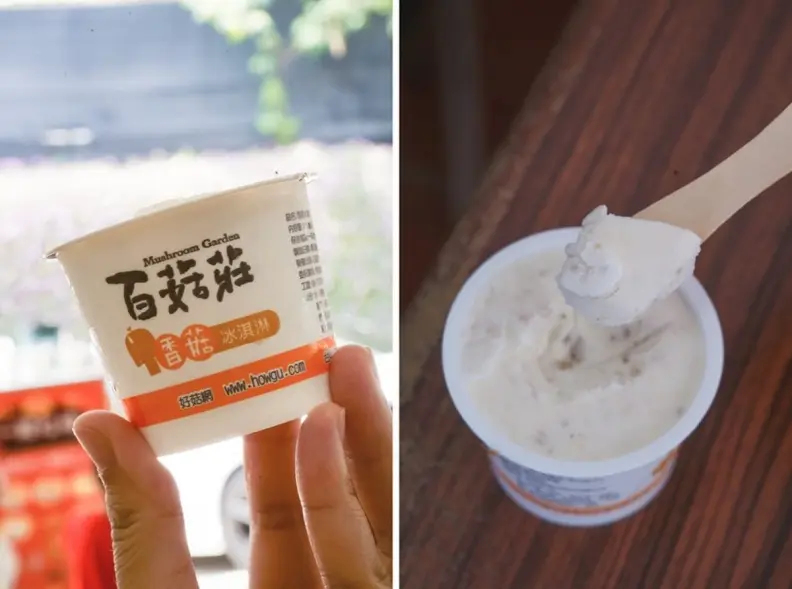 隱藏版親子樂園！台中「菇菇農場」體驗採香菇、現做茶碗蒸，250元１票玩到飽