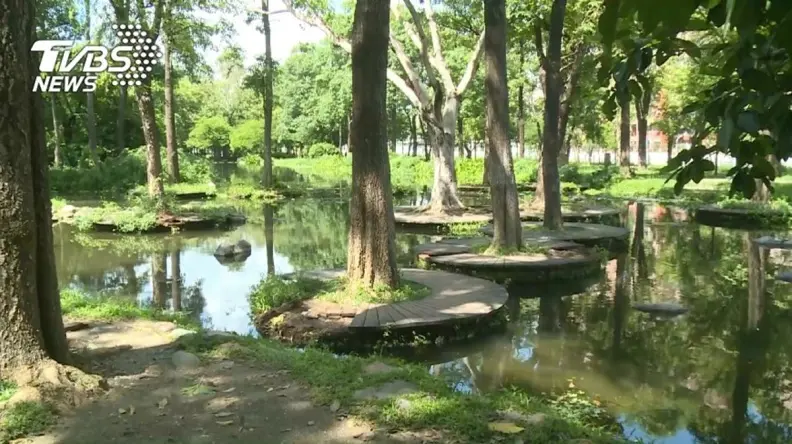 2023台人國旅最愛縣市TOP 5！第２名網美景點多，花東未上榜原因曝
